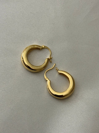 14k gold filled Stella everyday wear hoops